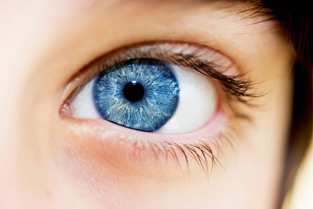 Jaki kolor soczewek do niebieskich oczu?